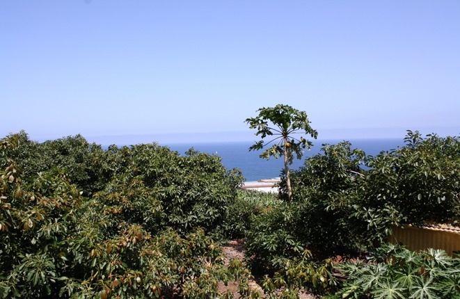 Vistas de la finca desde otra perspectiva